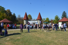 dsc_9163.jpg