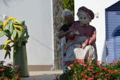 dsc_9165.jpg