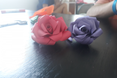 20190711_165201.jpg