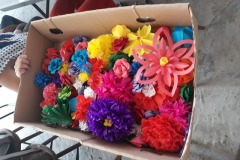 20190716_102617.jpg