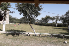 IMG-20190710-WA0027.jpg