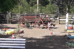 IMG-20190710-WA0030.jpg