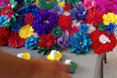 IMG-20190717-WA0002.jpg